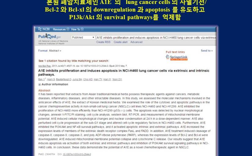 본원 한방복합제제 A1E의 폐암 세포주 NCI-H460에 영향을 연구한 molecular- biology 에 publish 한&nbsp;논문