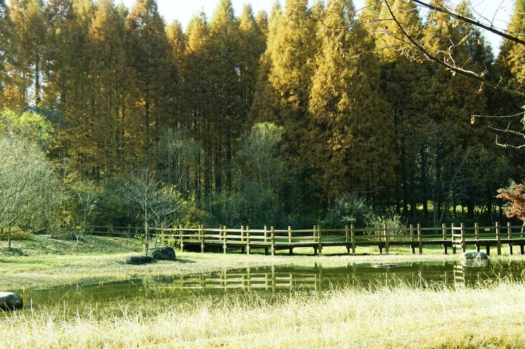 1120-2016-%eb%ac%bc%ed%96%a5%ea%b8%b0%ec%88%98%eb%aa%a9%ec%9b%90-009