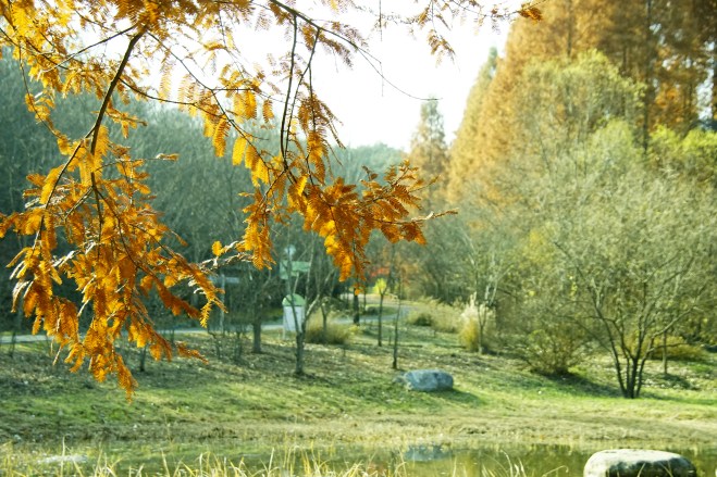 1120-2016-%eb%ac%bc%ed%96%a5%ea%b8%b0%ec%88%98%eb%aa%a9%ec%9b%90-010