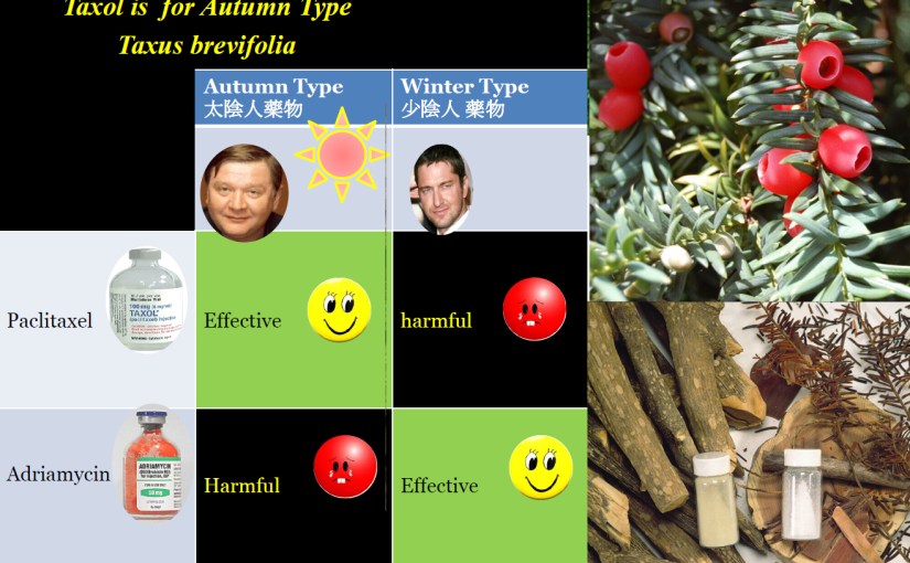 유방암 5강.  택솔과 태음인- 유방암 프로토콜은 2기 이상 태음인에게 제일&nbsp;적합하다.