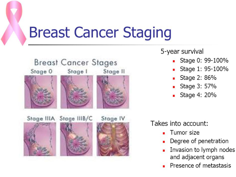 breast-stage