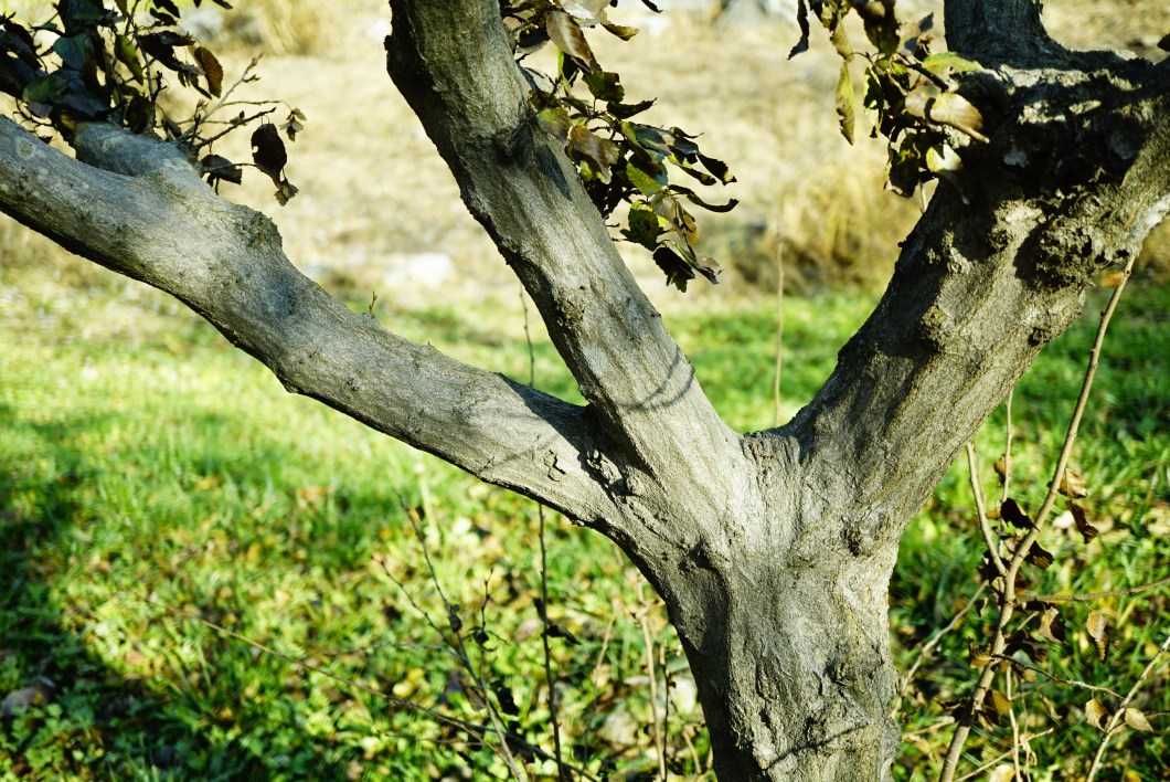 %ea%b0%9c%ec%84%9c%eb%82%98%eb%ac%b4-1120-2016-%eb%ac%bc%ed%96%a5%ea%b8%b0%ec%88%98%eb%aa%a9%ec%9b%90-031