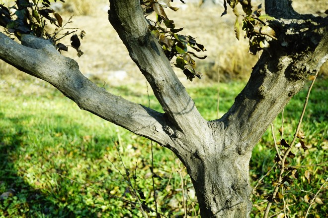 %ea%b0%9c%ec%84%9c%eb%82%98%eb%ac%b4-1120-2016-%eb%ac%bc%ed%96%a5%ea%b8%b0%ec%88%98%eb%aa%a9%ec%9b%90-031