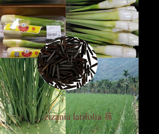 %ea%b5%90%eb%b0%b1%ec%88%9c