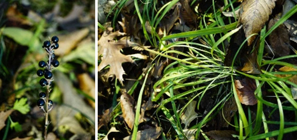 %eb%a7%a5%eb%ac%b8%eb%8f%99