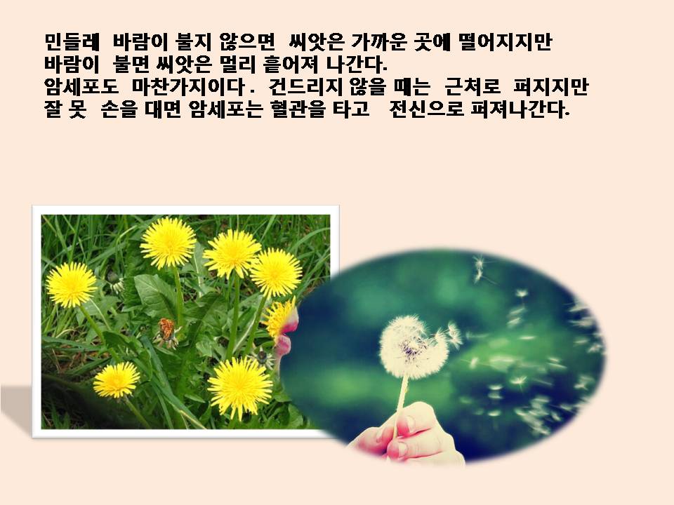 %ec%8a%ac%eb%9d%bc%ec%9d%b4%eb%93%9c4