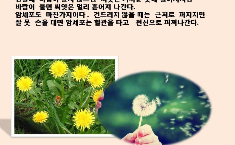 유방암 1강. 항암제는 꼭 사용해야 하는가?    암과 병기에 대한  나의 고찰과&nbsp;주장