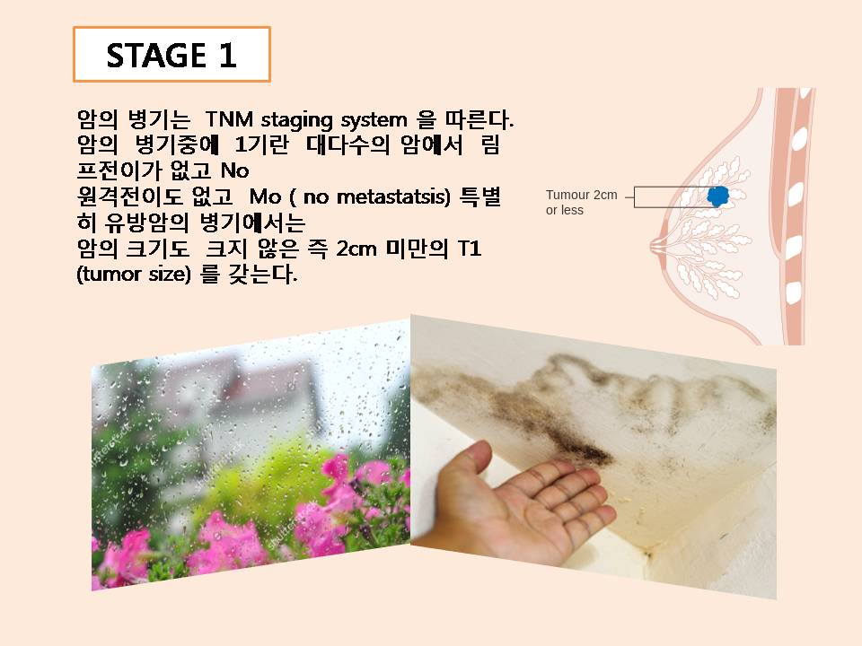 %ec%8a%ac%eb%9d%bc%ec%9d%b4%eb%93%9c5