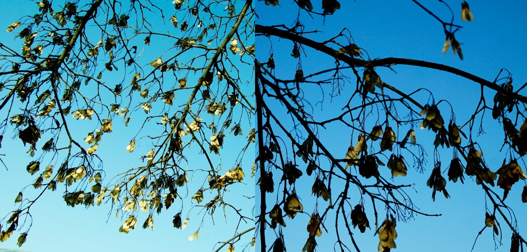 %ec%8b%a0%eb%82%98%eb%ac%b4-1120-2016-%eb%ac%bc%ed%96%a5%ea%b8%b0%ec%88%98%eb%aa%a9%ec%9b%90-018