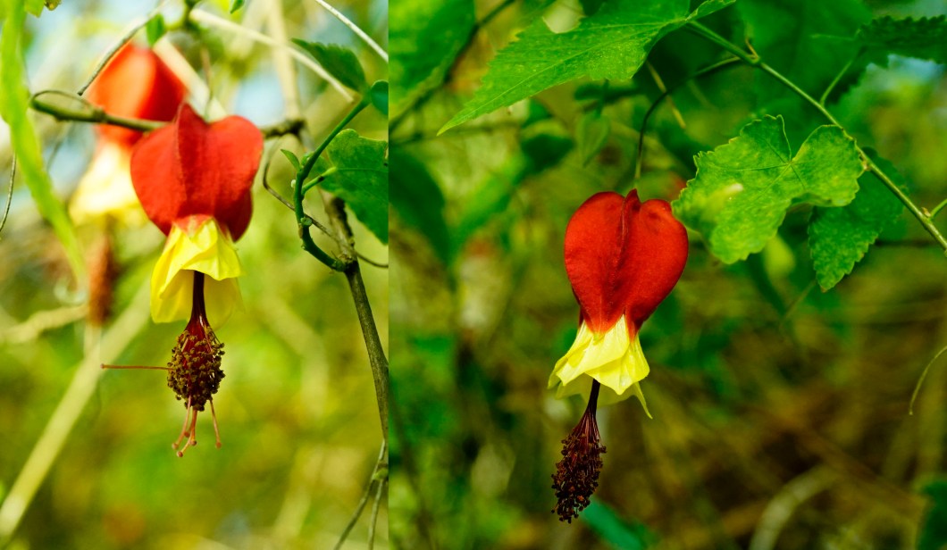 %ec%95%84%eb%b6%80%ed%8b%b8%eb%a1%a0-1120-2016-%eb%ac%bc%ed%96%a5%ea%b8%b0%ec%88%98%eb%aa%a9%ec%9b%90-014