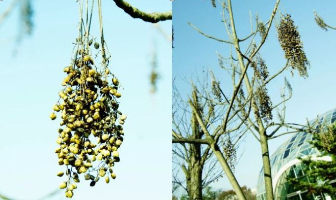 %ec%98%bb%eb%82%98%eb%ac%b4001