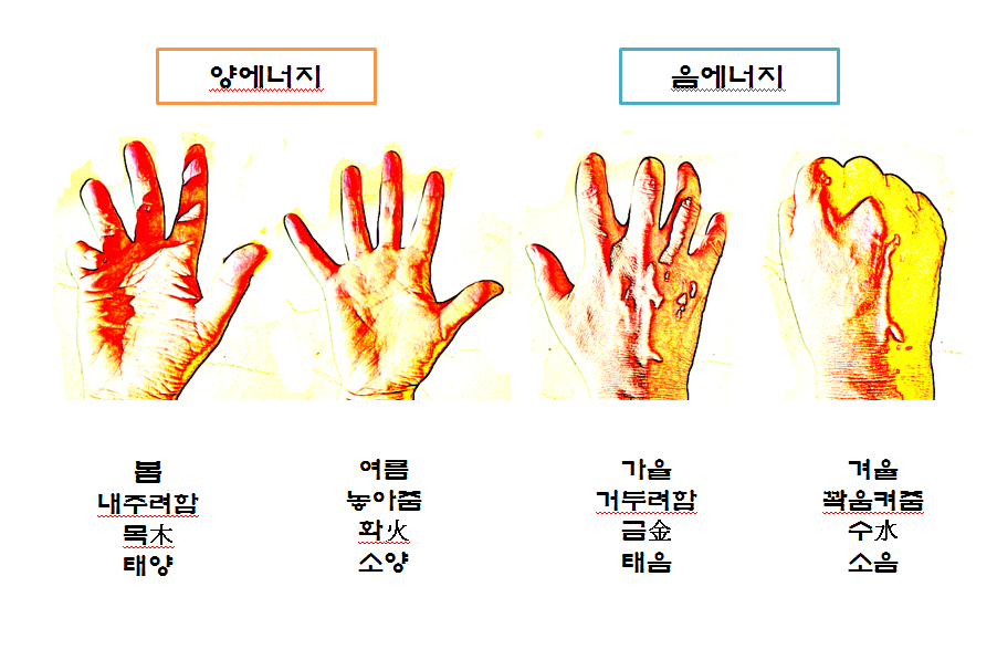 %ec%9d%8c%ec%96%91%eb%b0%98%ec%9e%a5