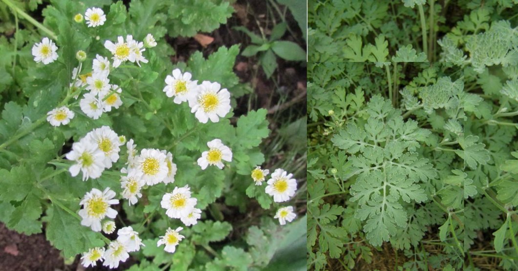 %ec%9e%ad%ed%8f%bf%ed%83%84%ec%a7%80