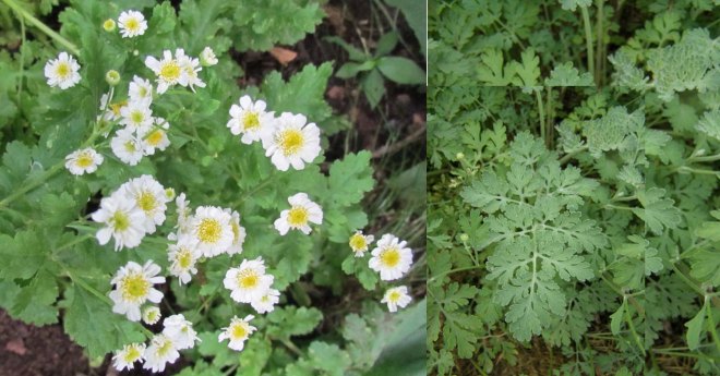 %ec%9e%ad%ed%8f%bf%ed%83%84%ec%a7%80