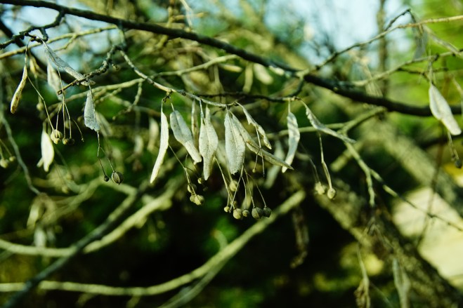 %ec%b0%b0%ed%94%bc%eb%82%98%eb%ac%b4-1120-2016-%eb%ac%bc%ed%96%a5%ea%b8%b0%ec%88%98%eb%aa%a9%ec%9b%90-027