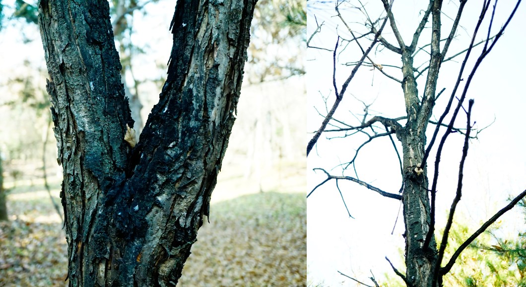 %ec%b0%b8%ec%a3%bd%eb%82%98%eb%ac%b4-1120-2016-%eb%ac%bc%ed%96%a5%ea%b8%b0%ec%88%98%eb%aa%a9%ec%9b%90-004