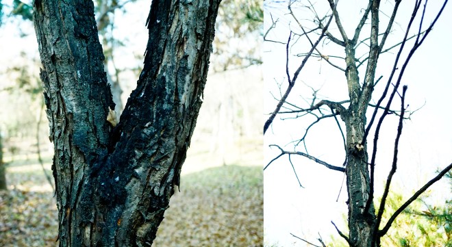 %ec%b0%b8%ec%a3%bd%eb%82%98%eb%ac%b4-1120-2016-%eb%ac%bc%ed%96%a5%ea%b8%b0%ec%88%98%eb%aa%a9%ec%9b%90-004