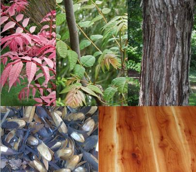 %ec%b0%b8%ec%a3%bd%eb%82%98%eb%ac%b4