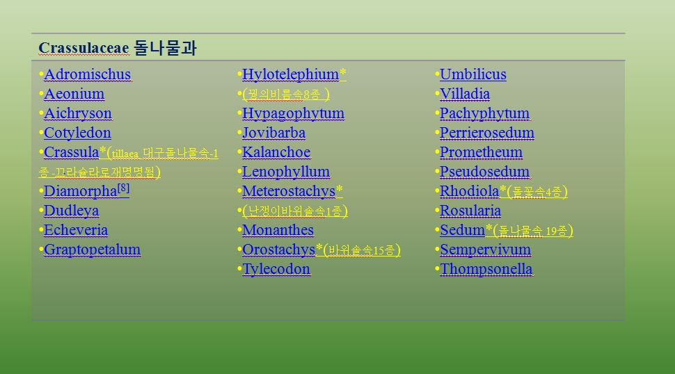 crassulaceae