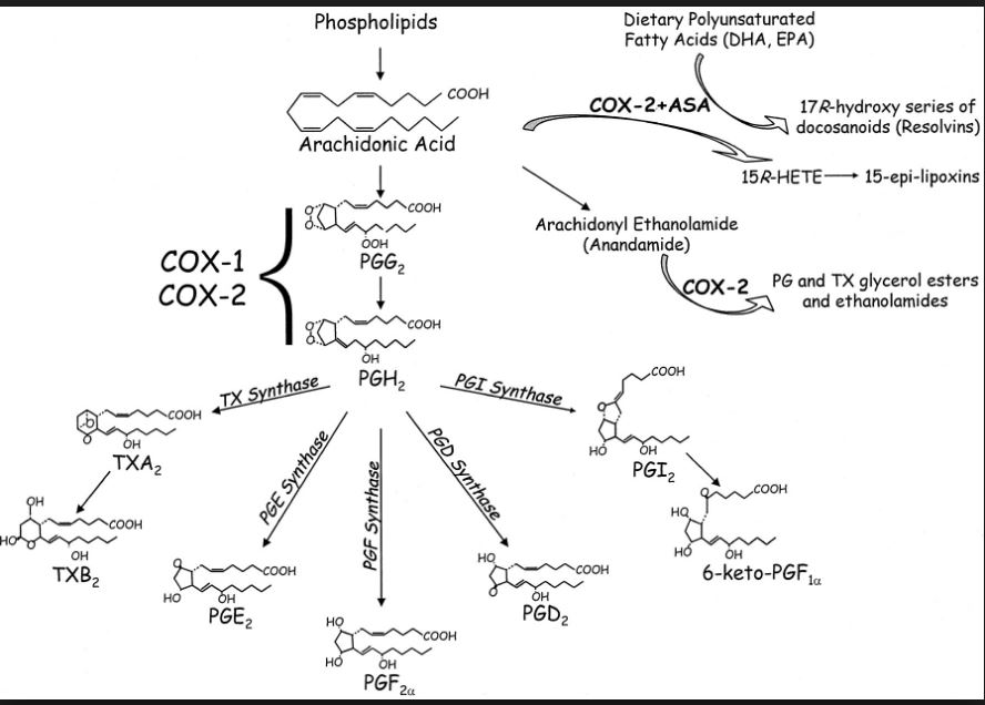 %ec%8b%b8%ec%9d%b4%ed%86%a0%ed%85%8d-12