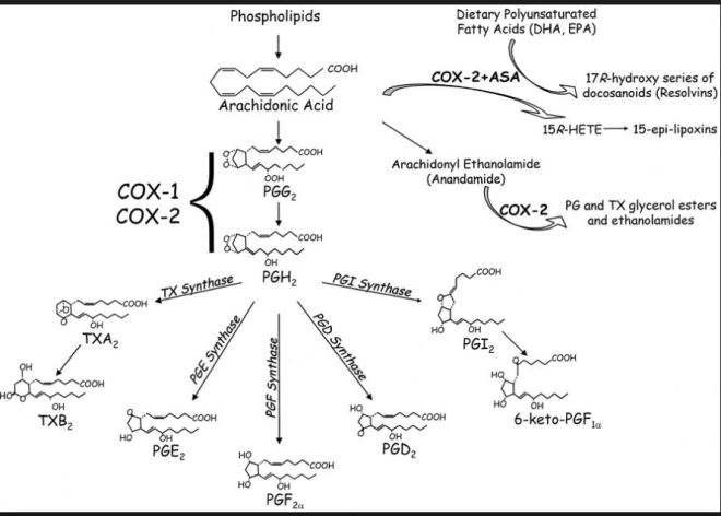 %ec%8b%b8%ec%9d%b4%ed%86%a0%ed%85%8d-12
