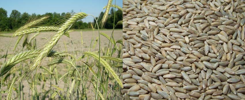 %ec%8b%b8%ec%9d%b4%ed%86%a0%ed%85%8d-17