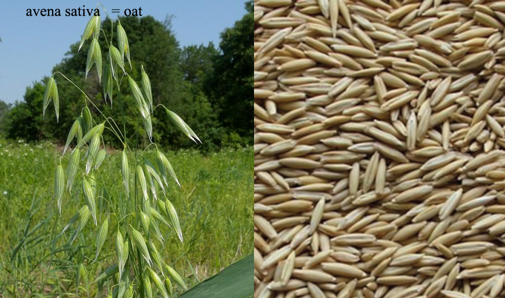 %ec%8b%b8%ec%9d%b4%ed%86%a0%ed%85%8d-19