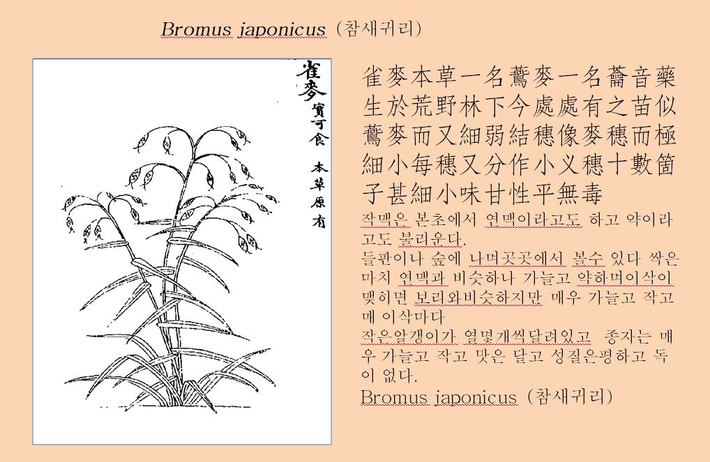 %ec%8b%b8%ec%9d%b4%ed%86%a0%ed%85%8d-20