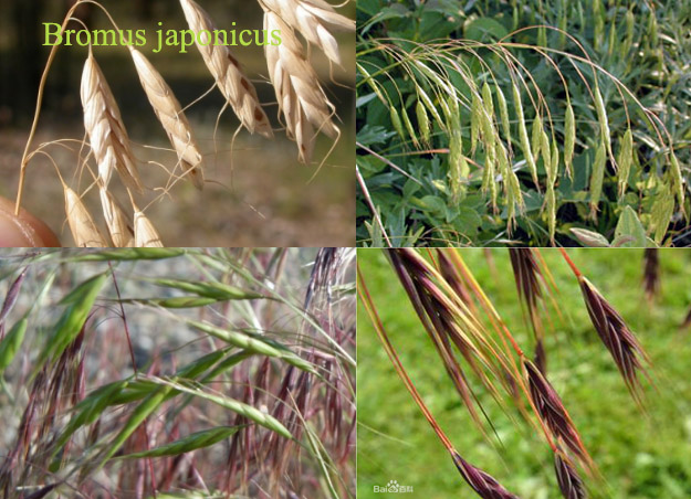 %ec%8b%b8%ec%9d%b4%ed%86%a0%ed%85%8d-21