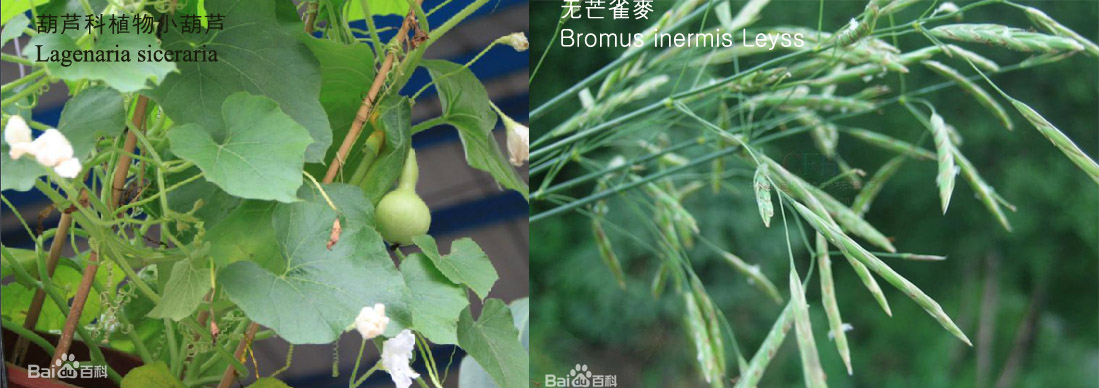 %ec%8b%b8%ec%9d%b4%ed%86%a0%ed%85%8d-22