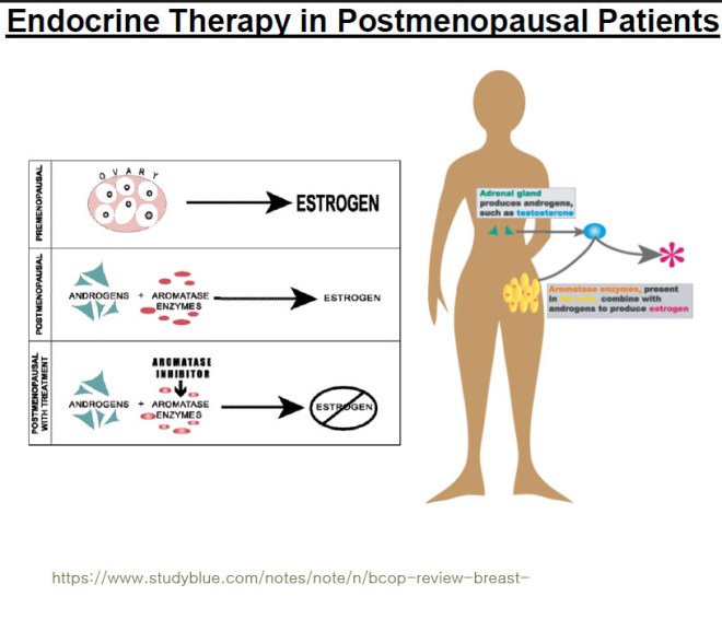 %ec%8b%b8%ec%9d%b4%ed%86%a0%ed%85%8d-23