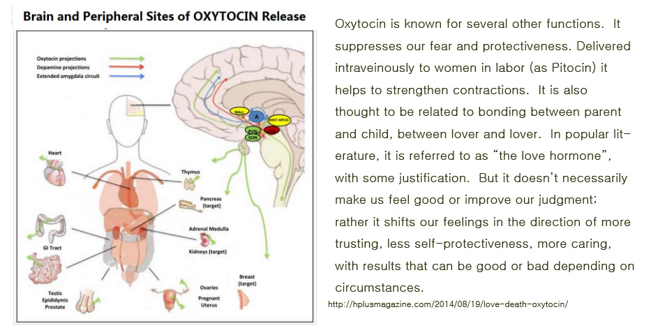 %ec%8b%b8%ec%9d%b4%ed%86%a0%ed%85%8d-25