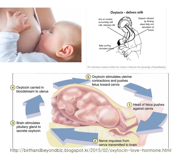 %ec%8b%b8%ec%9d%b4%ed%86%a0%ed%85%8d-26