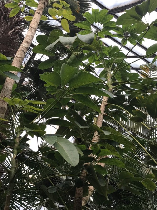 kakaotalk_20161231_125848148