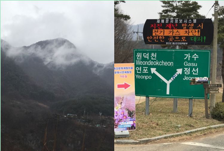 1-가시도꼬마리-5