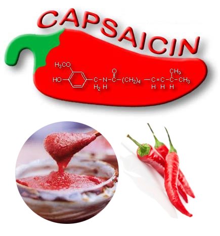 고추장과 소음인