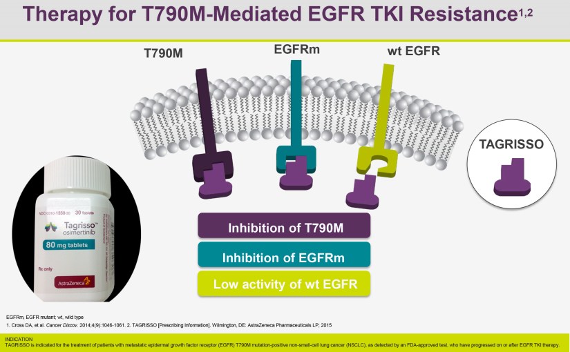 타그리소와  체질(소음인약물 추정)
