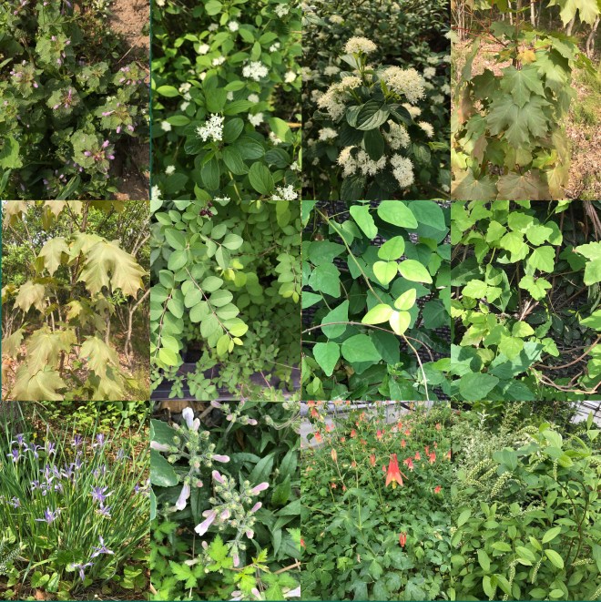 T-0513-2017 산내식물원(한)001