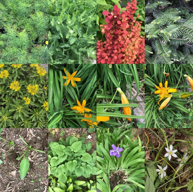 T-0513-2017 산내식물원(한)003.jpg