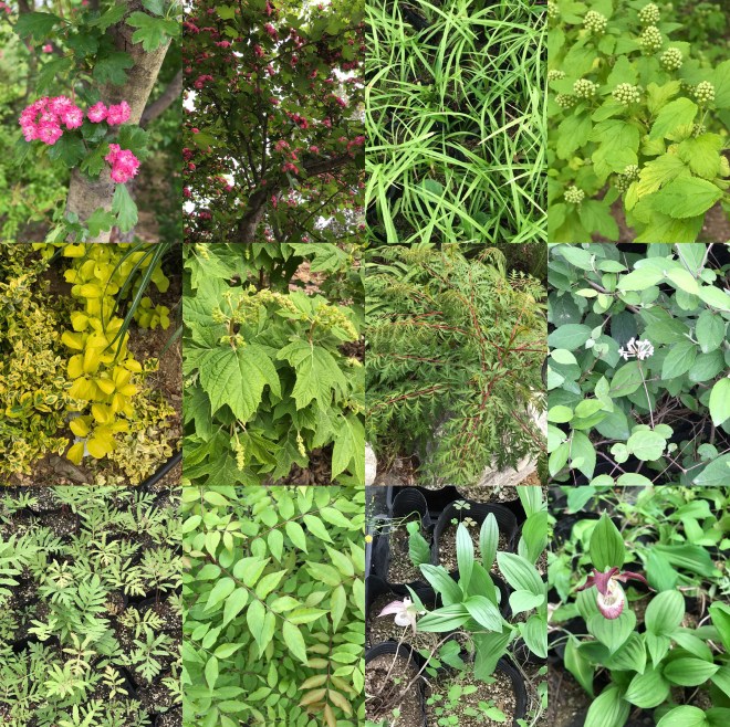 T-0513-2017 산내식물원(한)007