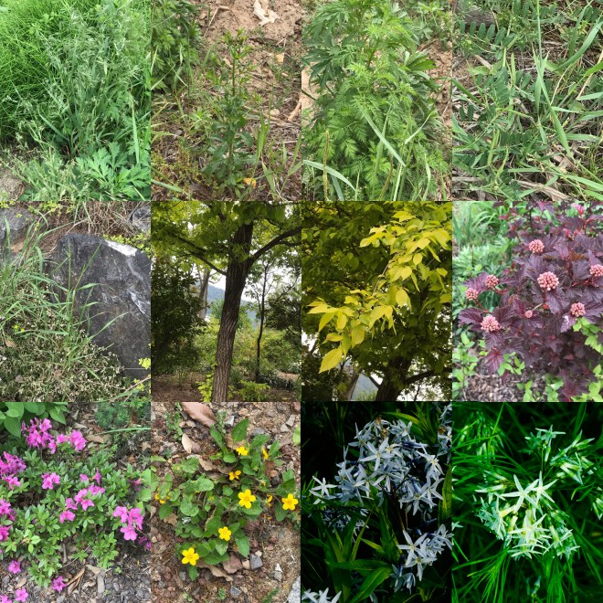 T-0513-2017 산내식물원(한)008