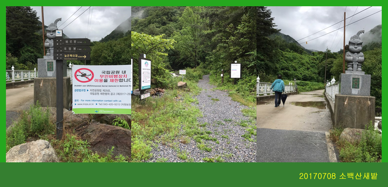 0708-2017 소백산새밭(한)000