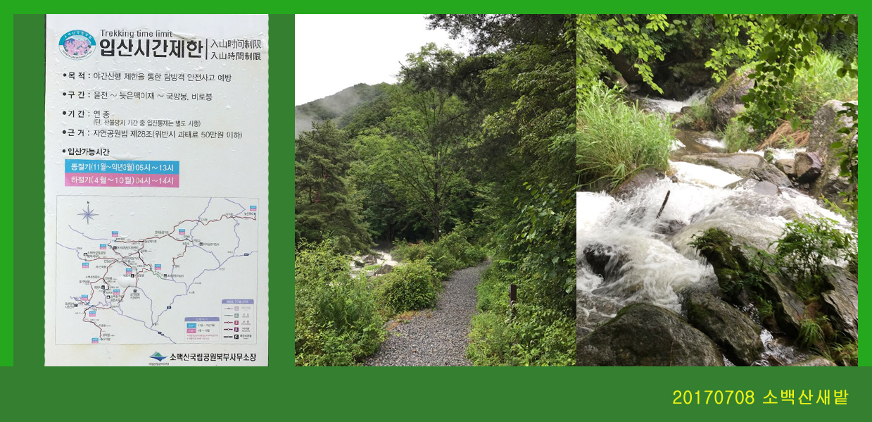 0708-2017 소백산새밭(한)214