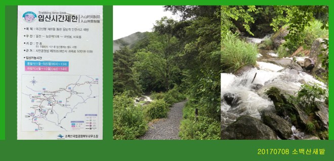0708-2017 소백산새밭(한)214